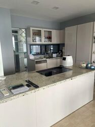 The Trizon (D10), Condominium #576851351